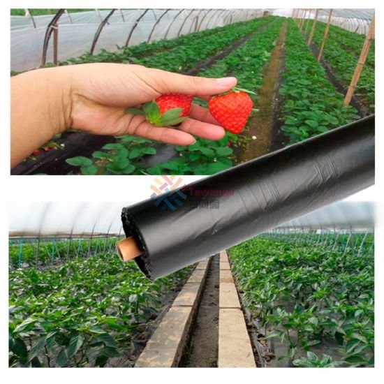 Mulch films