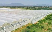 Nông nghiệp phim nhà kính bằng nhựa đường hầm